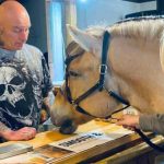 Oswestry Plough pub boss on why Odin the pony was there